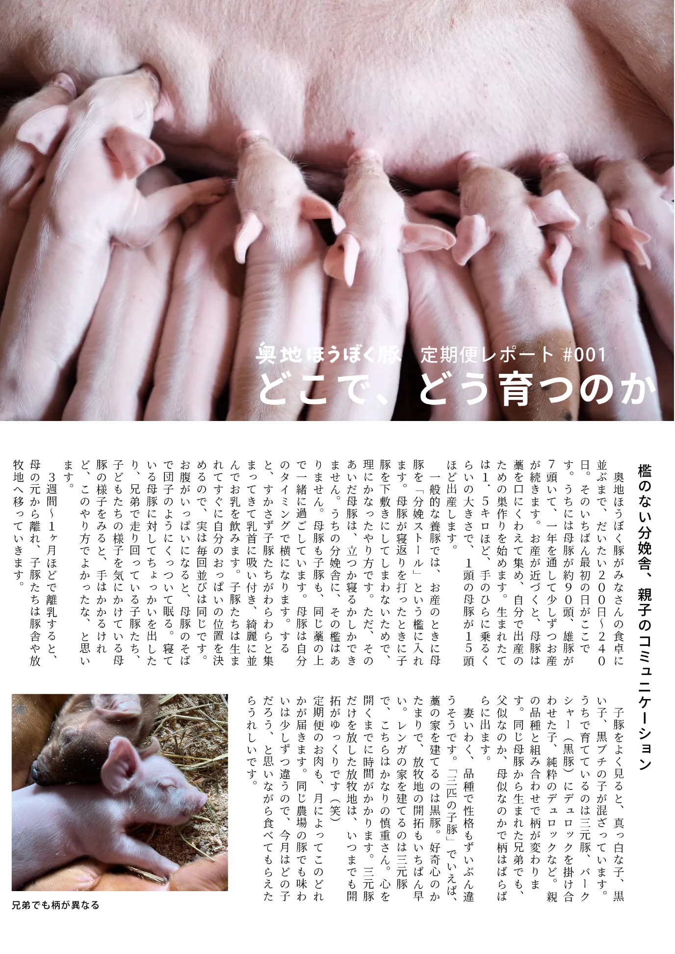 2026年8月号 2ページ