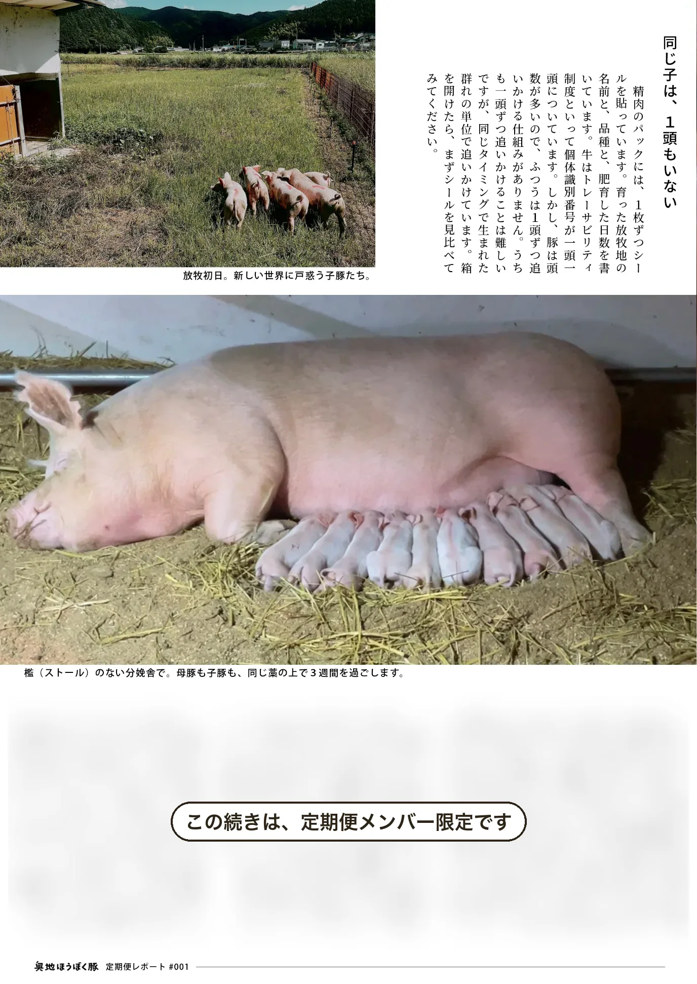 2026年8月号 3ページ